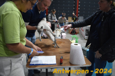 Antwerpen 112