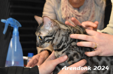 Arendonk 2024 067