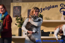 Antwerpen 2019DSC 0313