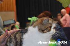 Arendonk 2024 391