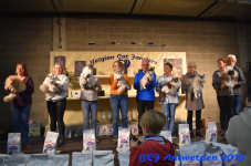 Antwerpen 2019DSC 0421
