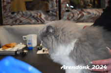 Arendonk 2024 150