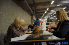 antwerp 2018 0470