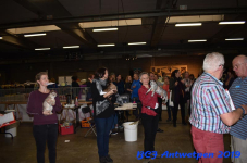 Antwerpen 2019DSC 0385