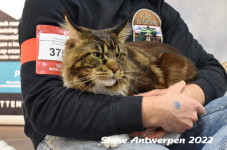 Antwerp 2022265