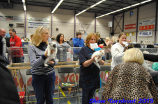 turnhout 2019-0201