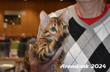 Arendonk 2024 321
