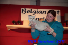 bcf antw 2010 250