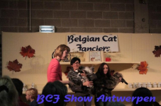 antwerpen 2012 253