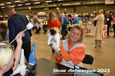 Schow Antwerpen 2023 151