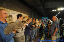 antwerp 2018 0379