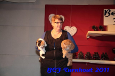 bcf antw 2010 209