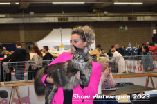 Schow Antwerpen 2023 261