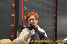 Antwerpen 155