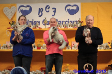 turnhout20150068