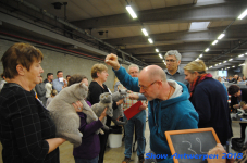antwerp 2018 0228