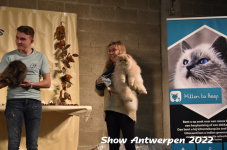 Antwerp 2022321