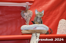 Arendonk 2024 561