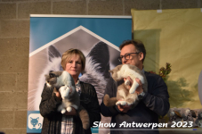 Schow Antwerpen 2023 285
