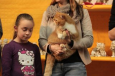 turnhout20150134