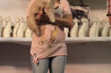 arendonk 2012 270