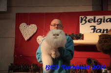 bcf antw 2010 163