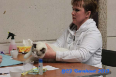 turnhout 2013 img 0044