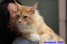 turnhout20150234