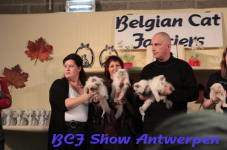antwerpen 2012 159