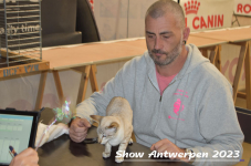 Schow Antwerpen 2023 220