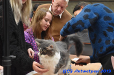 Antwerpen 2019DSC 0162