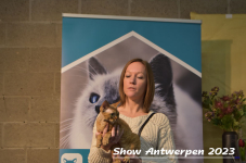 Schow Antwerpen 2023 369