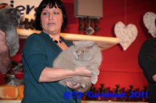bcf antw 2010 241