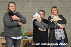 Antwerp 2022330