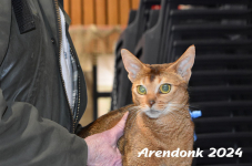 Arendonk 2024 040