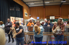 DSC 0323