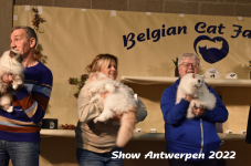 Antwerp 2022286