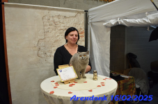 DSC 0235