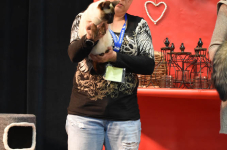 Katttenshow Arendonk 2020 DSC 0292