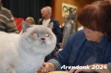 Arendonk 2024 330