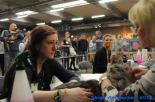 antwerp 2018 0515
