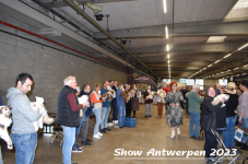 Schow Antwerpen 2023 377