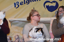 Schow Antwerpen 2023 397