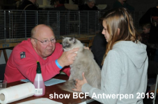 showantwerpen 1106