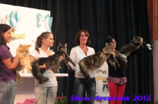 arendonk 2012 266