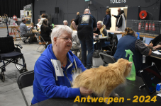 Antwerpen 231