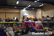 Laakdal 2023 307