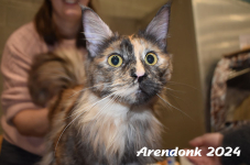 Arendonk 2024 121