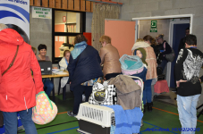 Katttenshow Arendonk 2020 DSC 0099