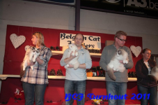 bcf antw 2010 217